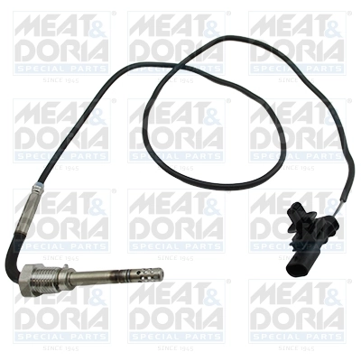 Sensor, exhaust gas temperature